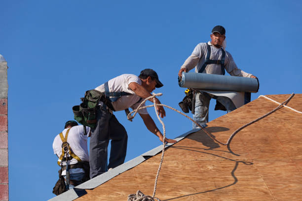 Best Roof Waterproofing Services  in Gages Lake, IL